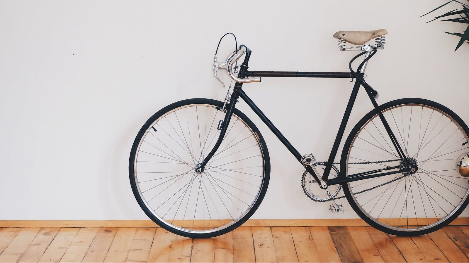 activity bicycle bike biker