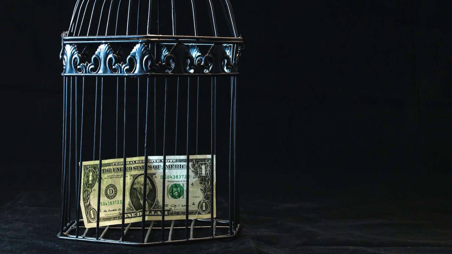 black steel pet cage with one dollar