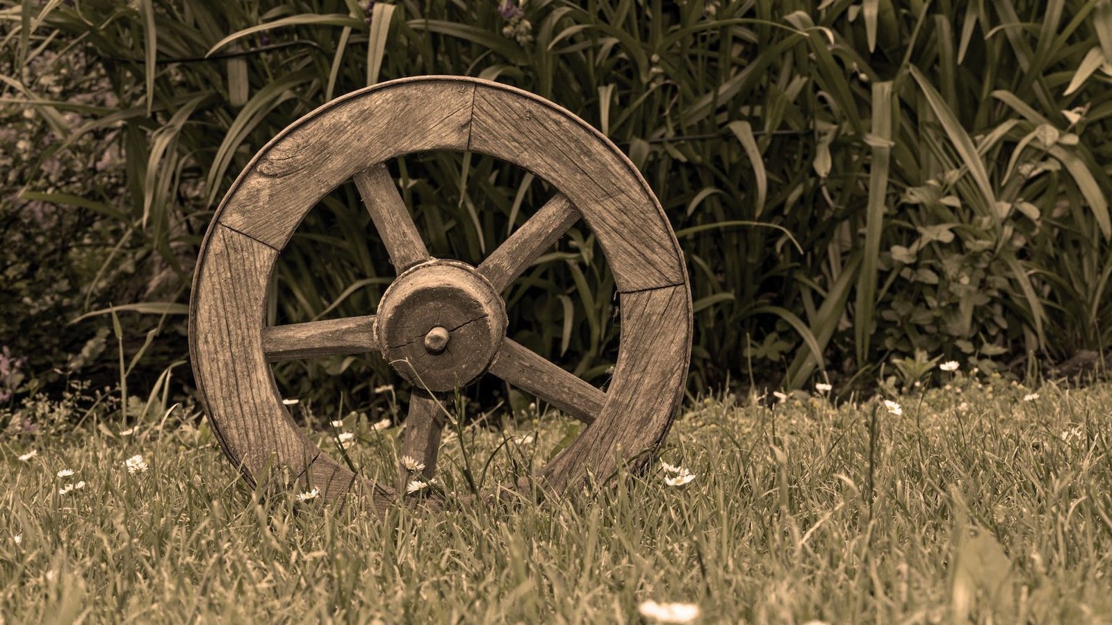 brown wooden wheel on top of green grass